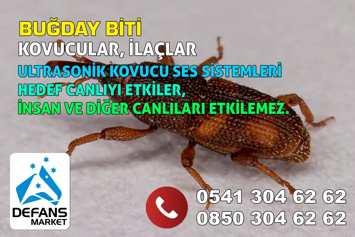 Bitlis Buğday Biti Kovucu