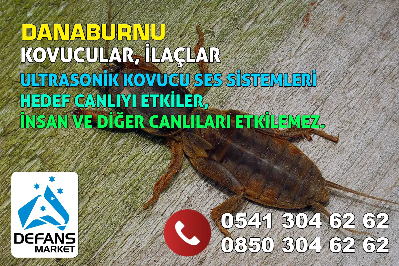 Artvin Danaburnu Kovucu