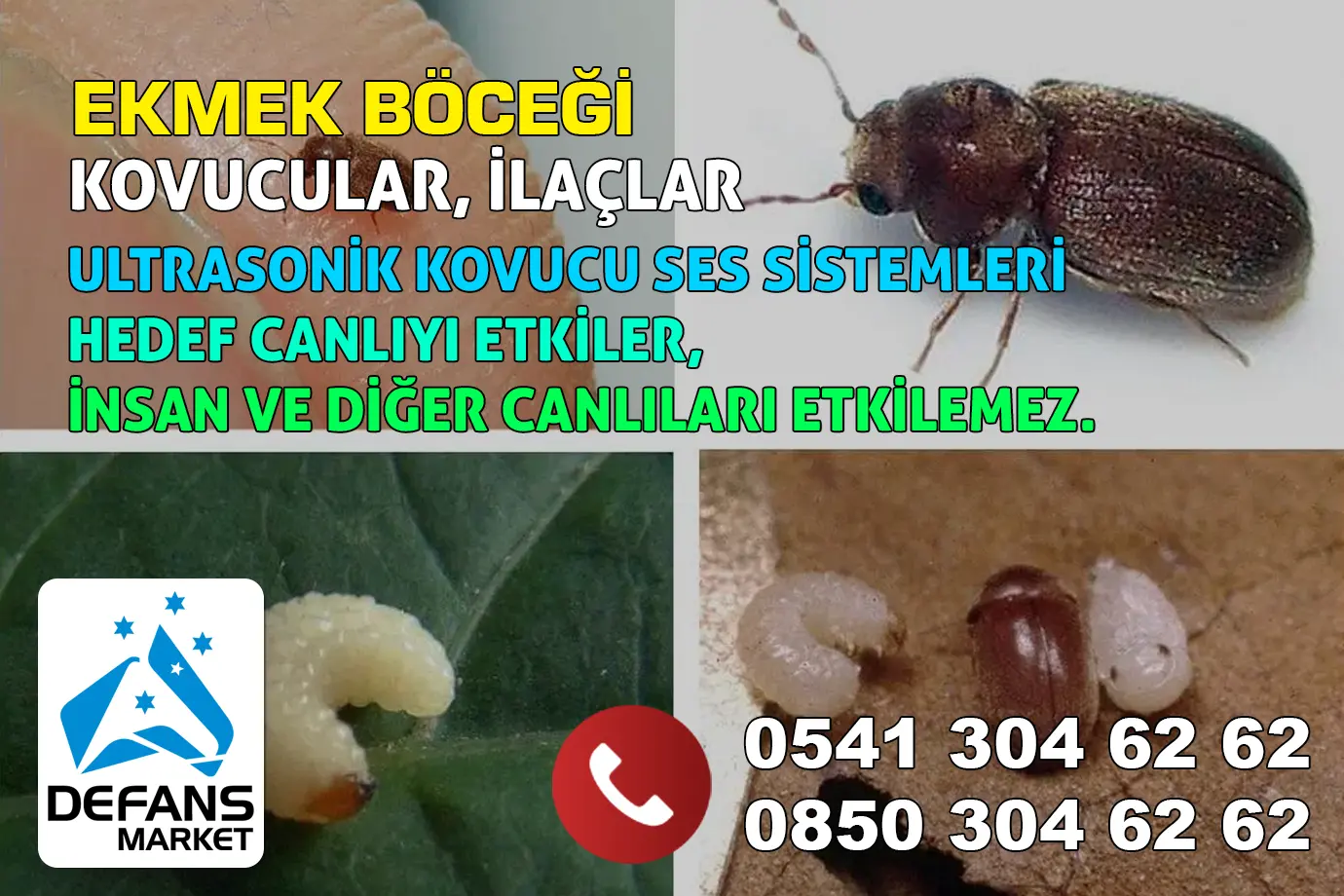 İstanbul Ekmek Böceği Kovucu