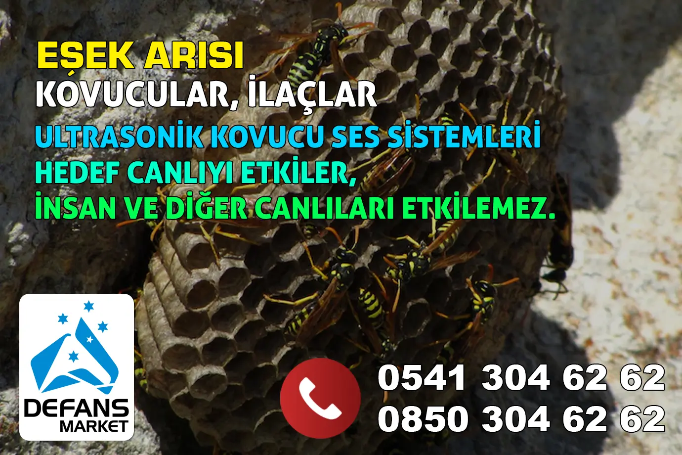 Konya Eşek Arısı Kovucu