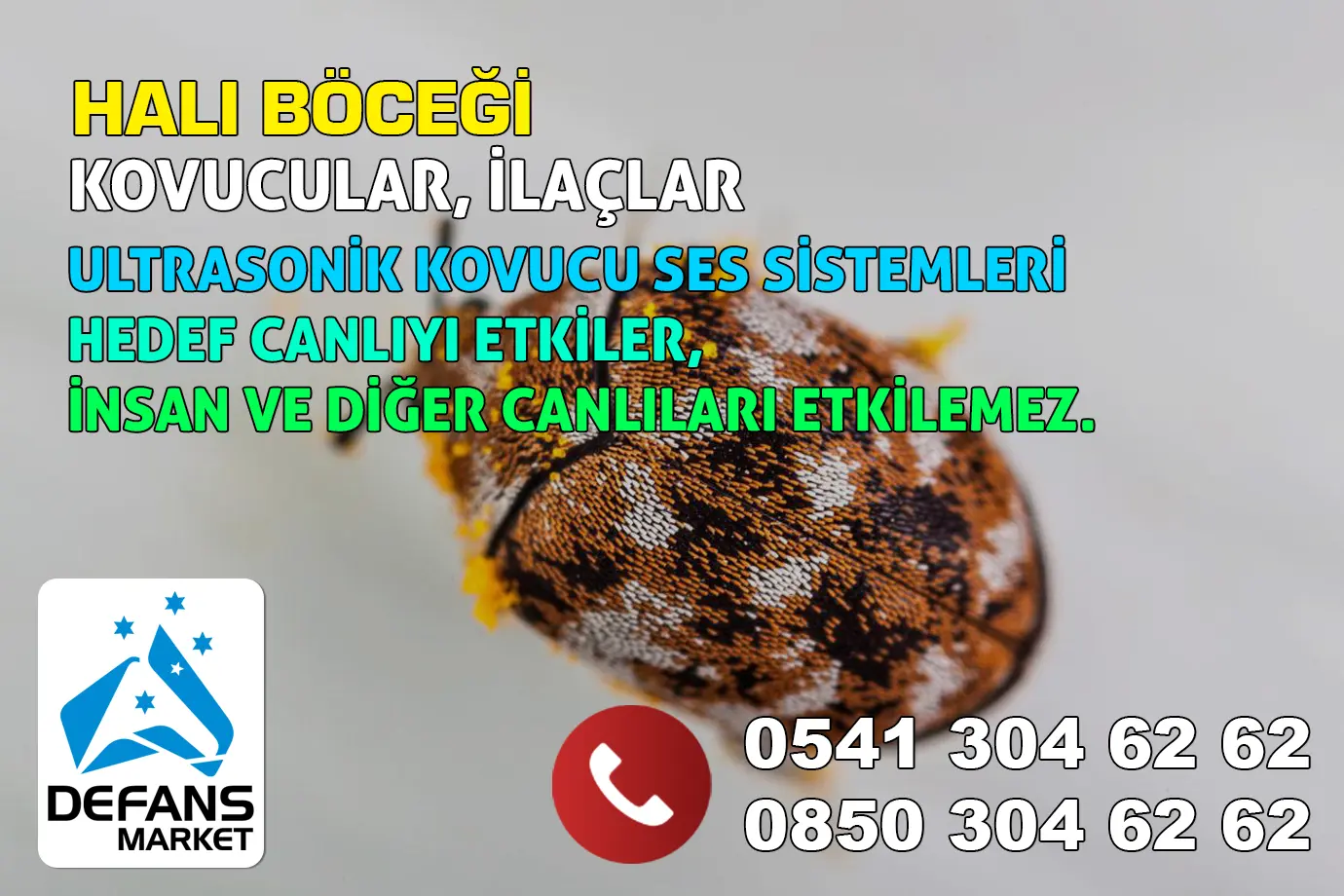 Bayburt Halı Böceği Kovucu