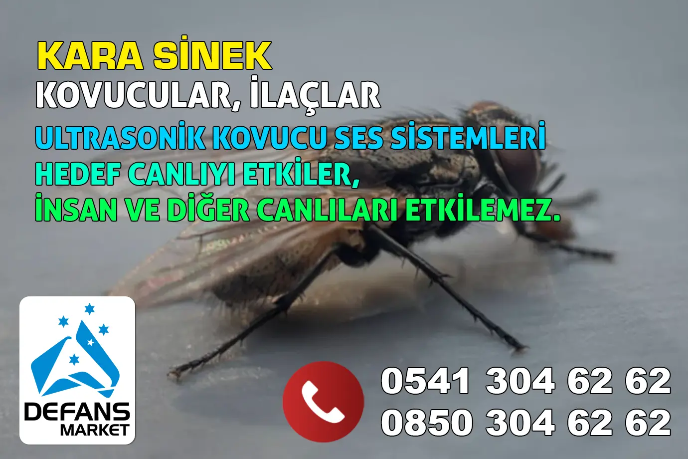 Erzincan Karasinek Kovucu