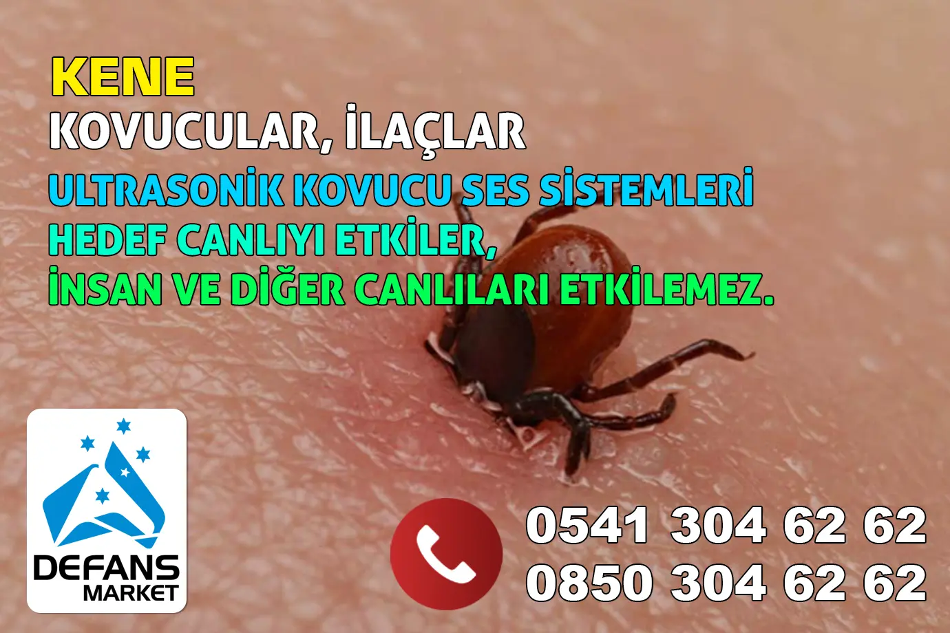 Erzincan Kene Kovucu