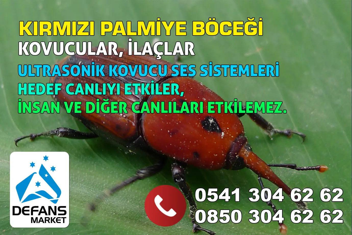 Aksaray Kırmızı Palmiye Böceği Kovucu