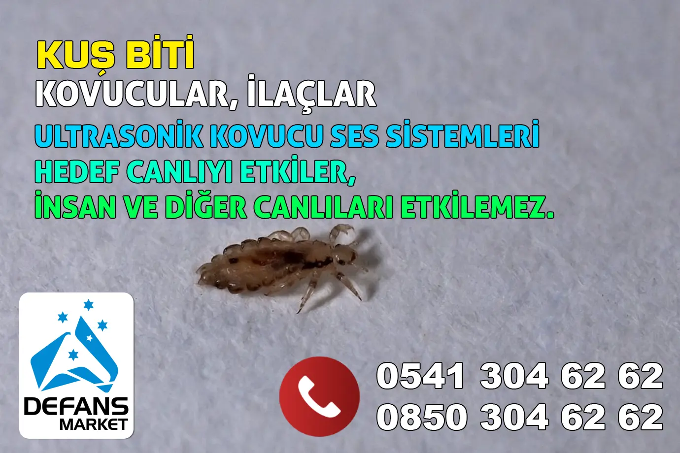 Antalya Kuş Biti Kovucu