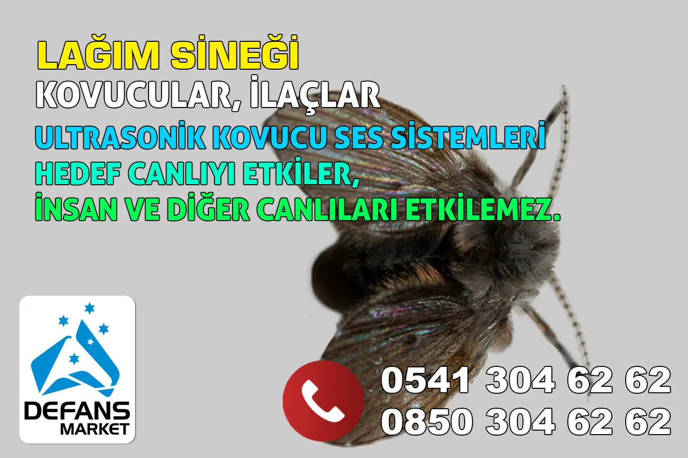 Dodurga Lağım Sineği Kovucu