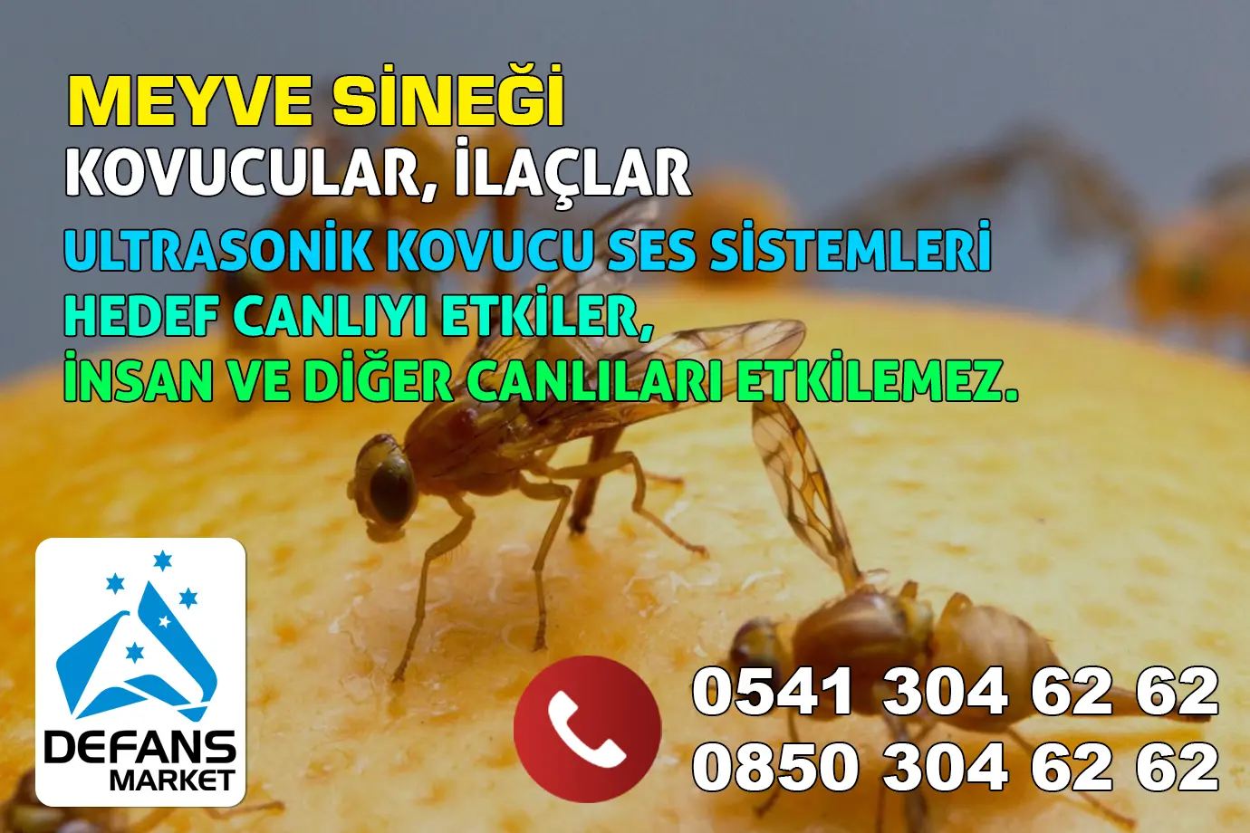 Bilecik Meyve Sineği Kovucu