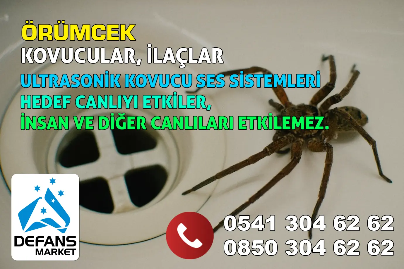 Mardin Örümcek Kovucu