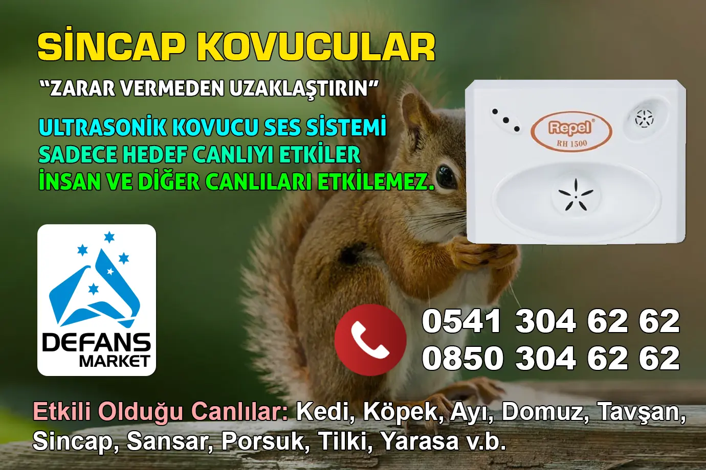 Sinop Sincap Kovucu