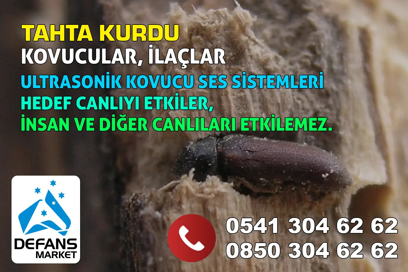 Devrek Tahta Kurdu Kovucu