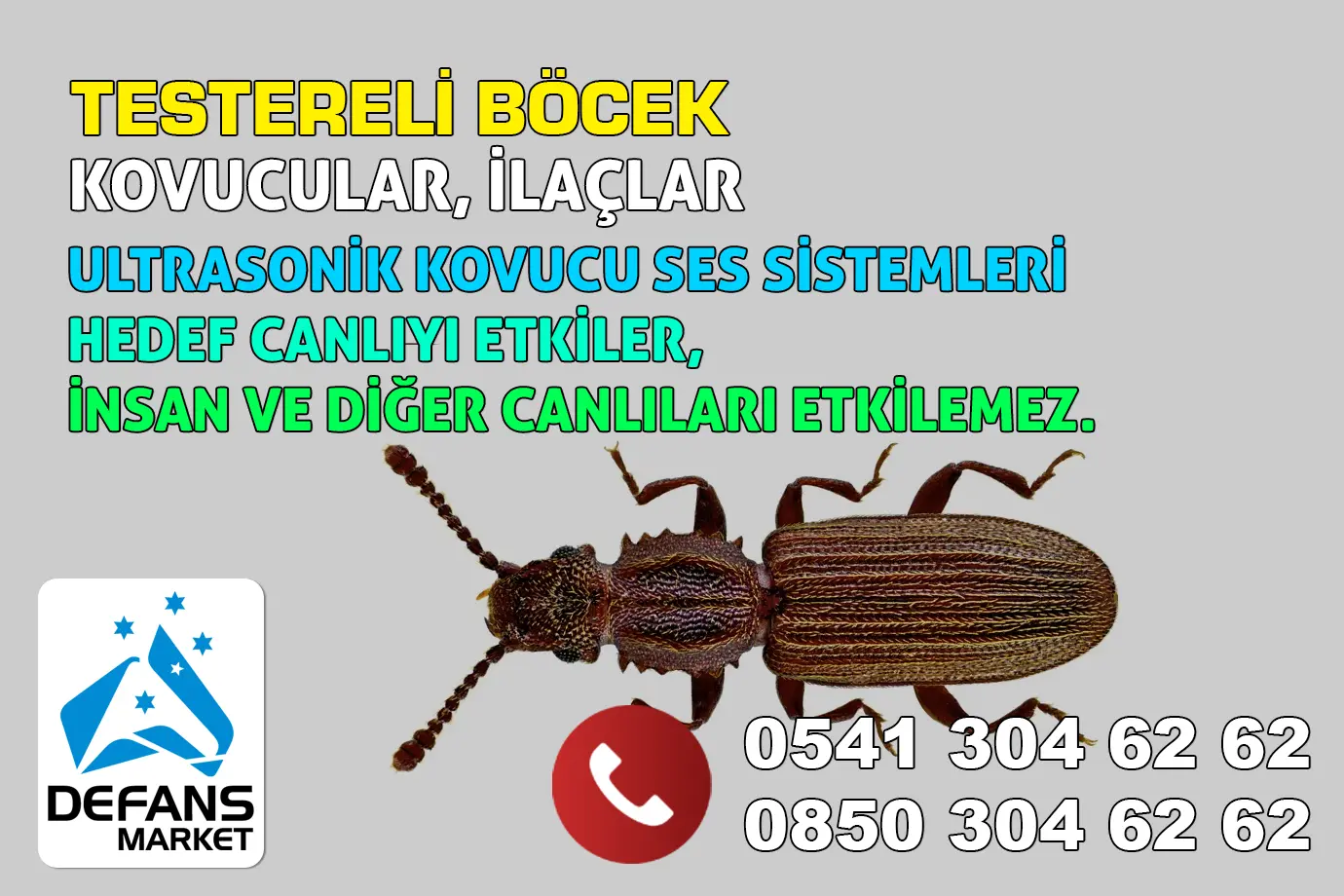 Rize Testereli Böcek Kovucu