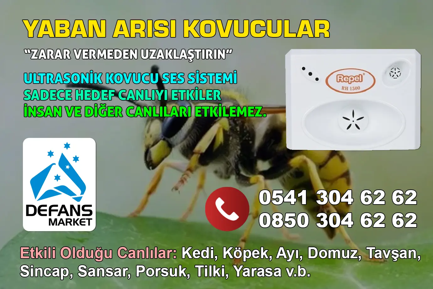 Sinop Yaban Arısı Kovucu